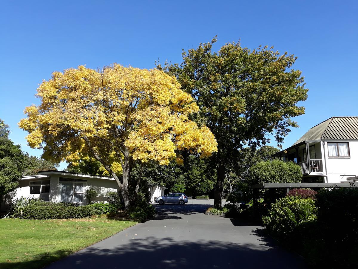 Ashleigh Court Motel-Christchurch Hagley Park Exteriér fotografie